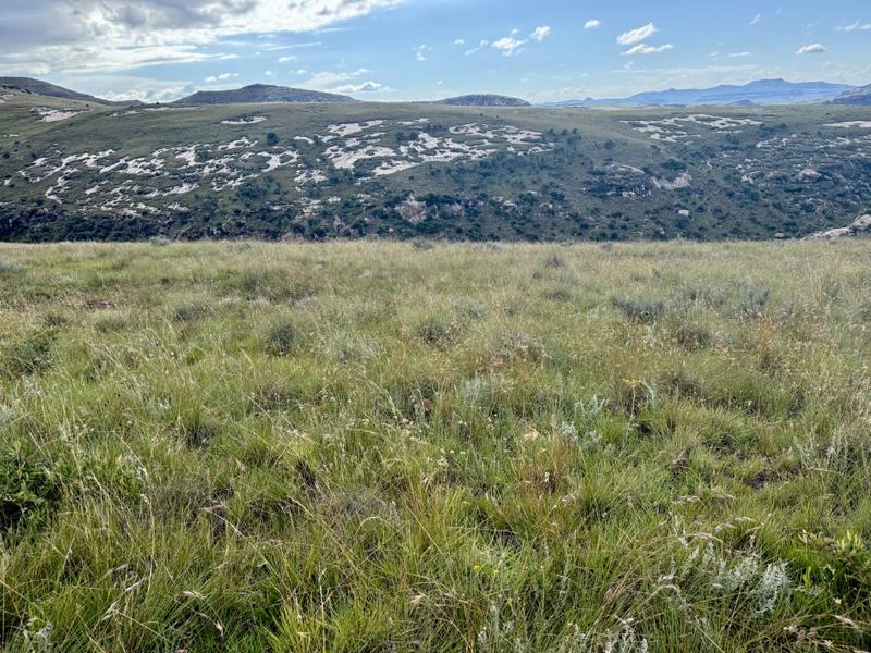 0 Bedroom Property for Sale in Fouriesburg Free State